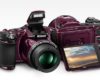 Harga Kamera Nikon COOLPIX L830 Body Baru Bekas Terbaru dan Spesifikasinya