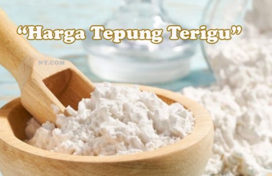 Macam Harga Tepung Terigu Saat ini