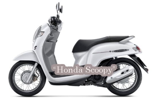 Motor Honda Scoopy Terbaru