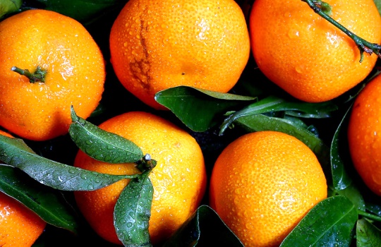 Harga Jeruk per Kg Terbaru Semua Jenis di Pasaran