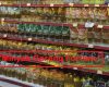 Harga Minyak Goreng Fortune Terbaru Saat Ini