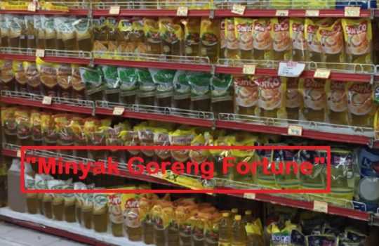 Harga Minyak Goreng Fortune Terbaru Saat Ini