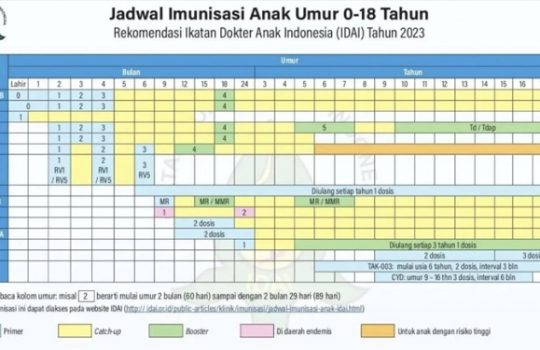 Price List Biaya Imunisasi Bayi