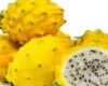 Harga Buah Naga Kuning Terbaru