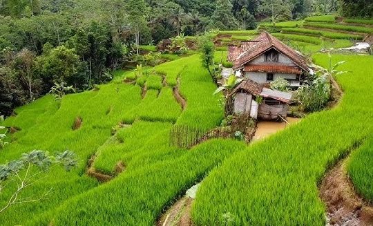 Kata Motivasi Kehidupan Penuh Makna